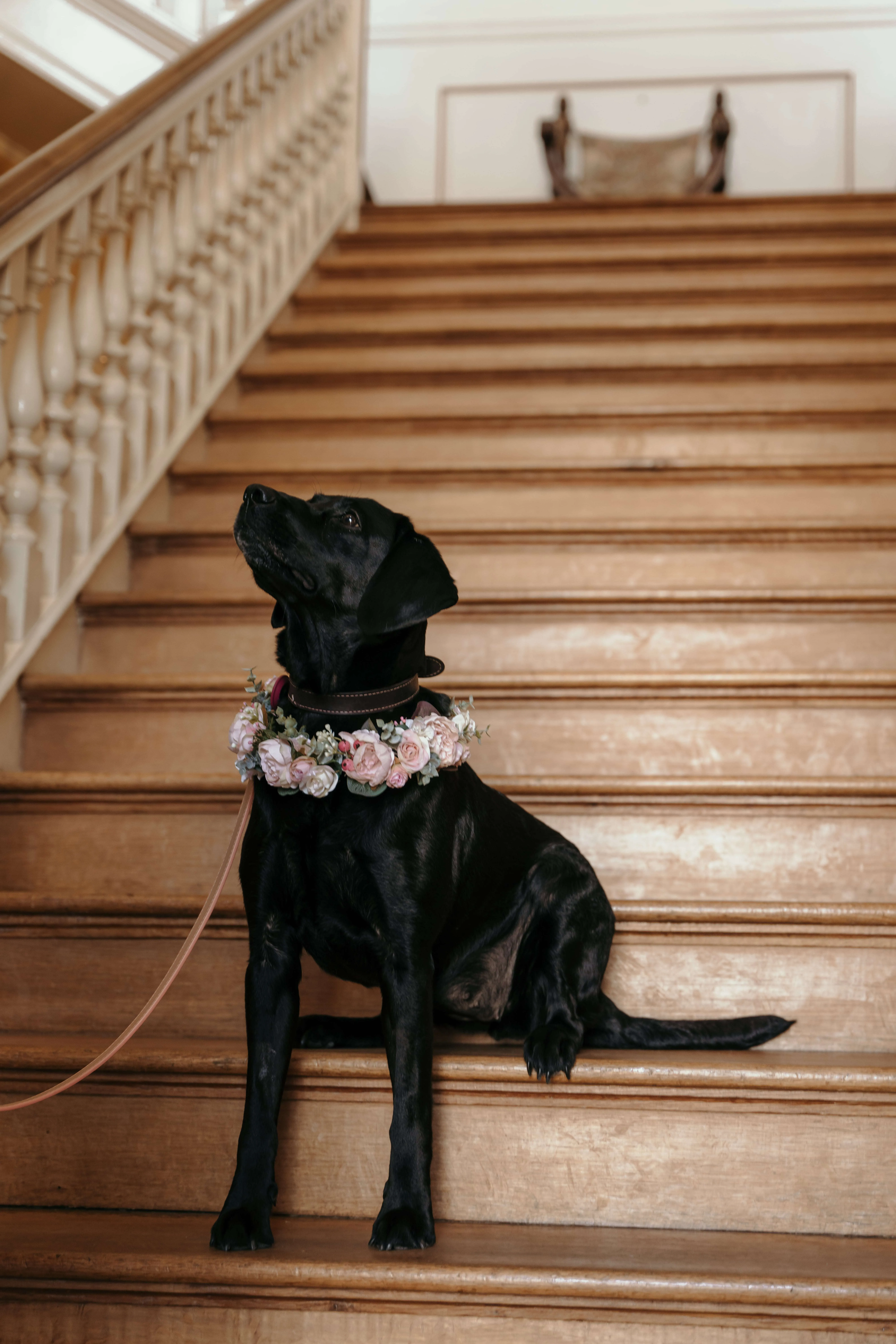 Natural wedding photographer