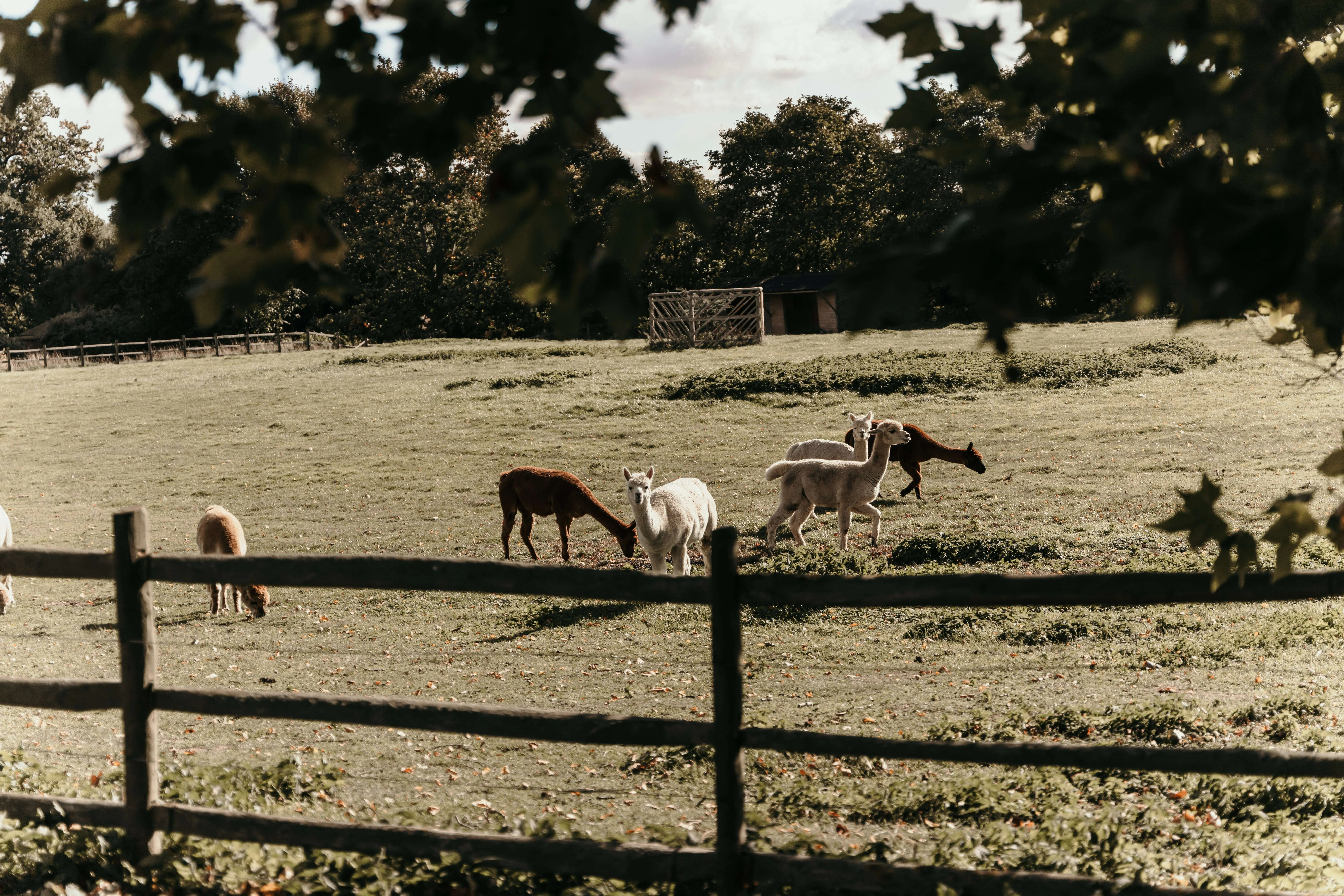 Norfolk wedding venue hire