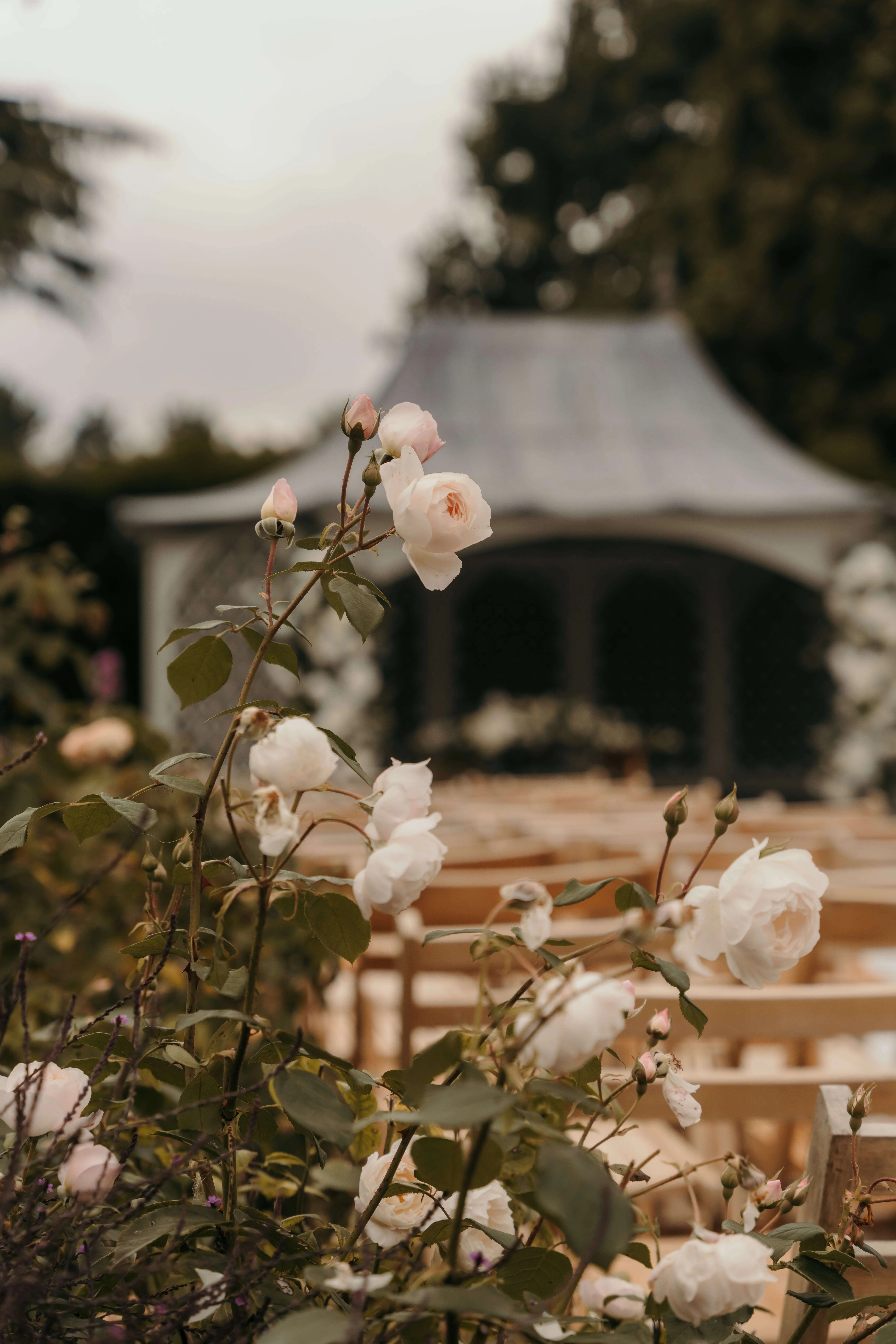 Peterborough wedding photographer