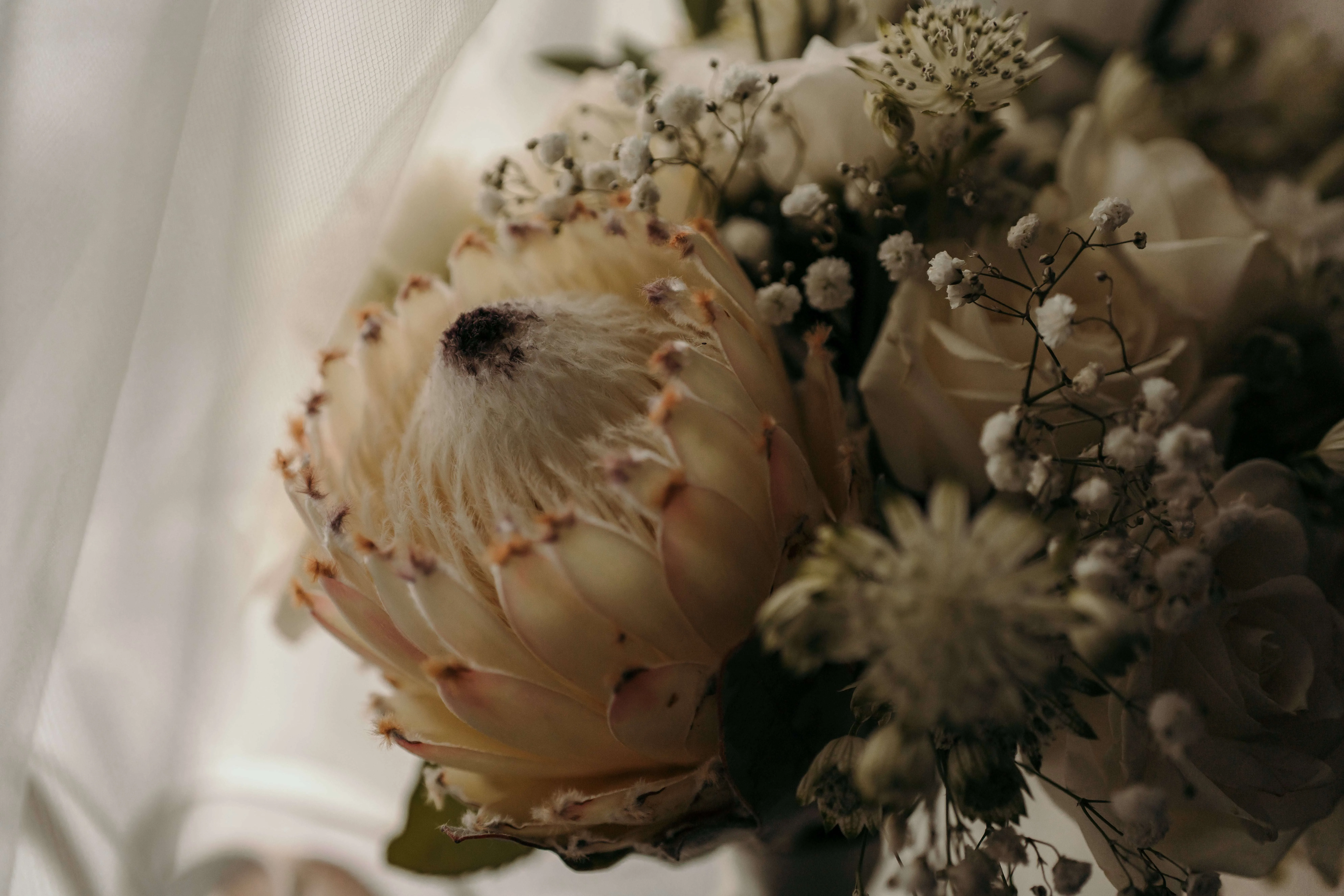 Wedding ceremonies norfolk