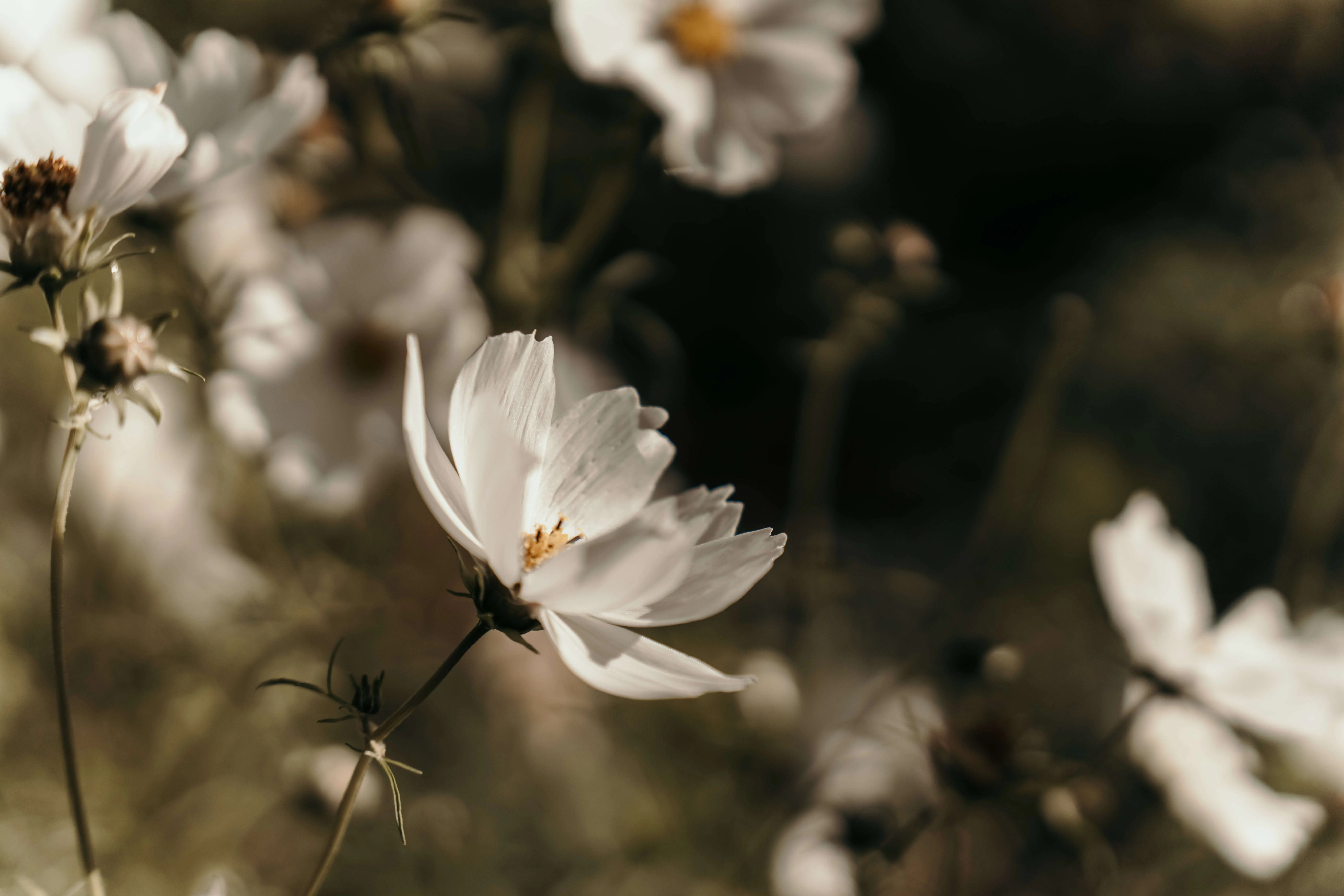 top wedding photographer in uk